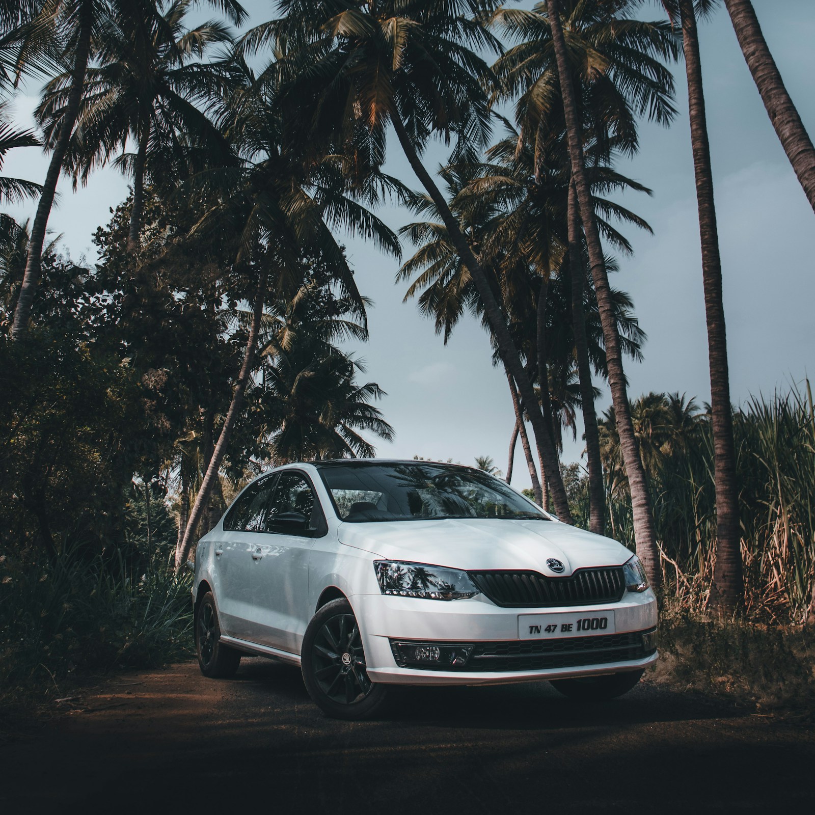 Skoda Octavia A8 2022